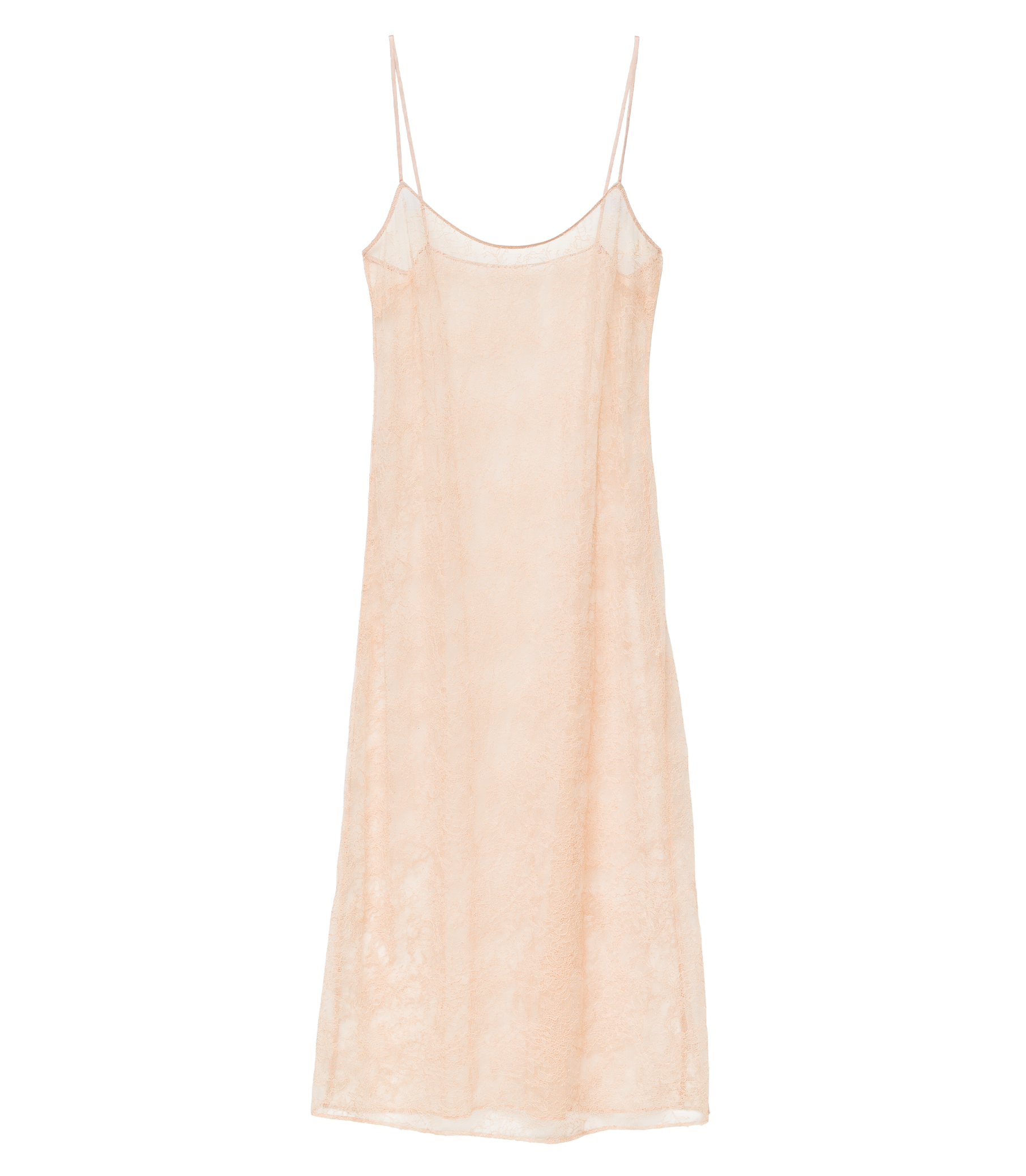 AMEDINE SLIP -- CONCH