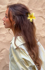 Frangipani Yellow Flower Clip