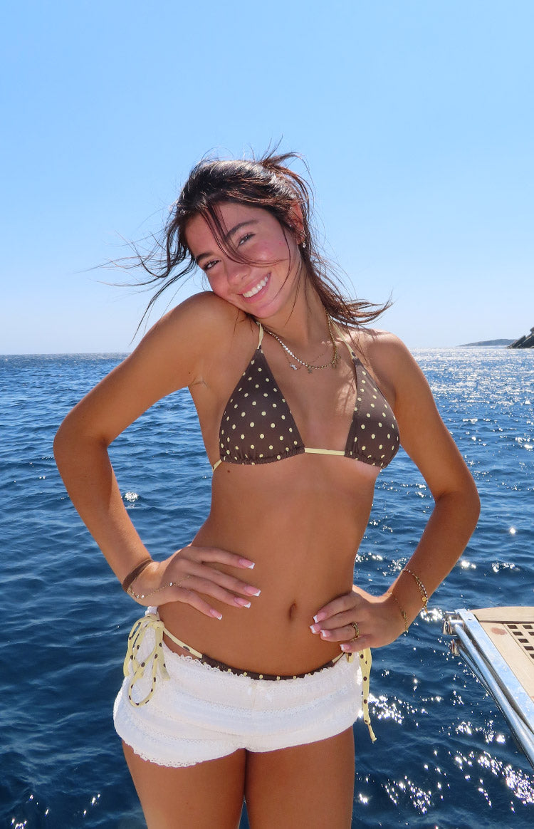 Florida Brown Polka Dot Triangle Bikini Top