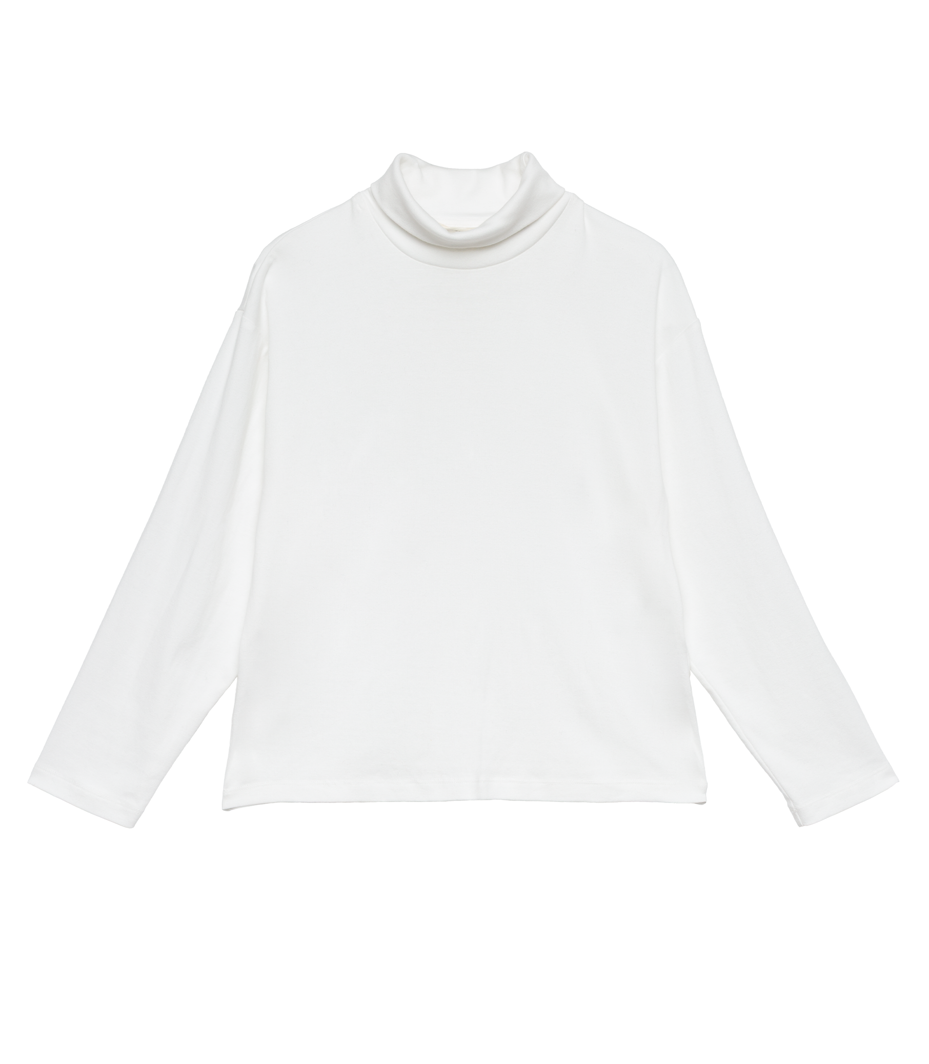 HAWTHORN TURTLENECK -- SALT