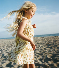 LITTLE NISHA DRESS -- DANDELION GROVE